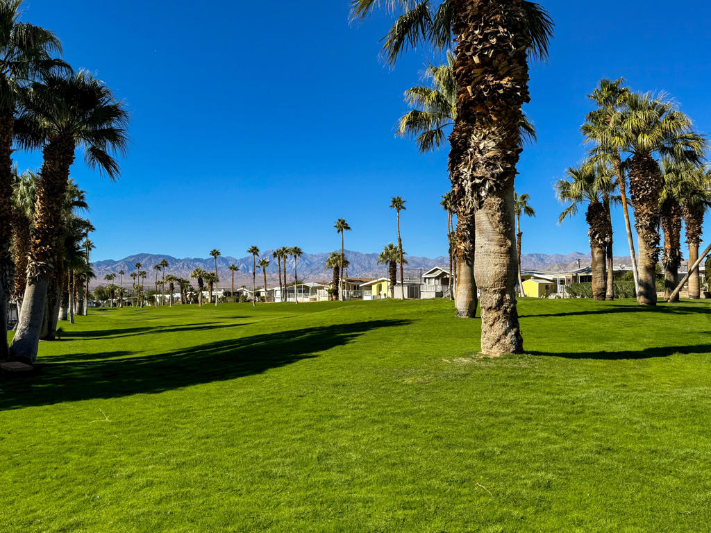 Hidden Springs - Manufactured In Park