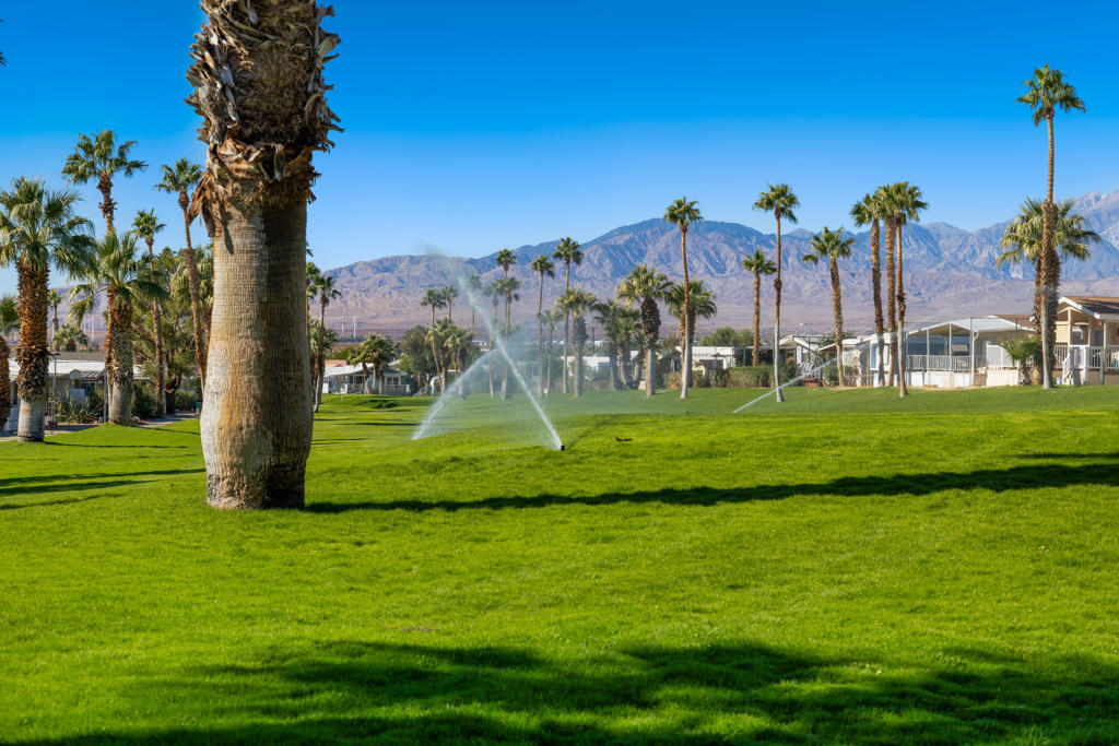 Hidden Springs - Manufactured In Park