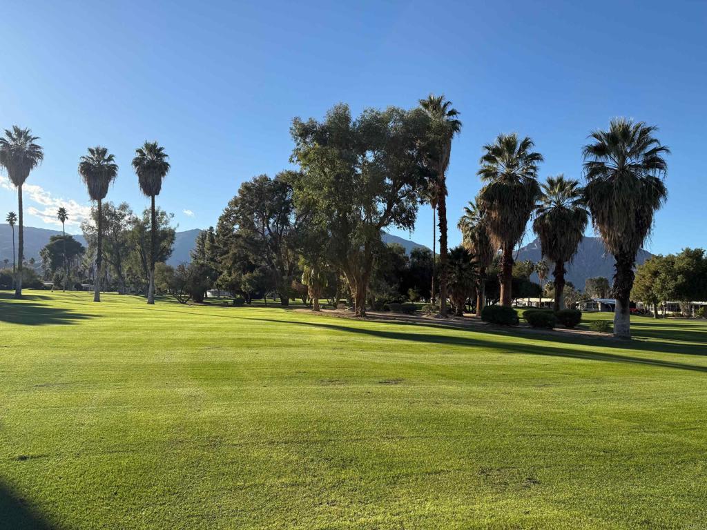 1010 Palm Canyon Drive 264