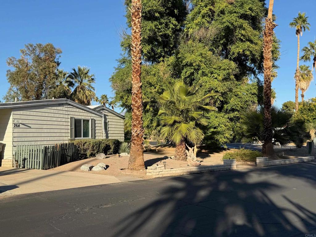 1010 Palm Canyon Drive 264