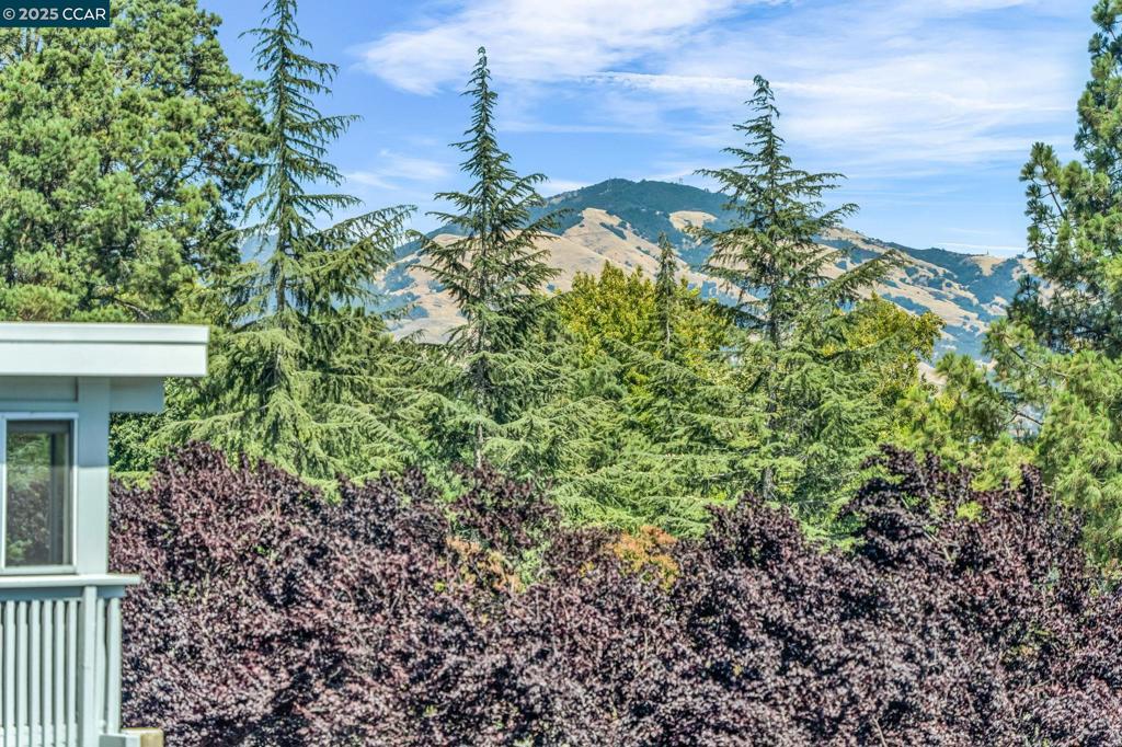 Gorgeous Mt. Diablo views from this beautifully updated and impeccably maintained 2 bedroom 1 bath expanded Sequoia Wrap unit. This peaceful end unit coop offers amazing nature views from every window. Enjoy Mt. Diablo views while entertaining from your updated kitchen, featuring high end cabinets, stainless steel appliances and new window. The updated bathroom shares the same picturesque view from the rare bathroom window! An enclosed wrap with new dual pane windows offers plenty of additional space for all of your things, you will find a separate laundry area, possible guest space, gym or office! The possibilities are endless. Come see what this wonderful home and the 55+ community of Rossmoor has to offer.