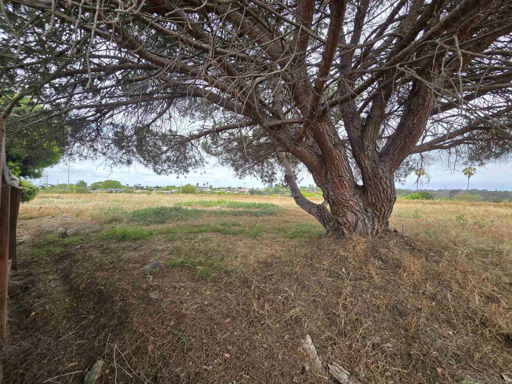 3183 Via Arcilla