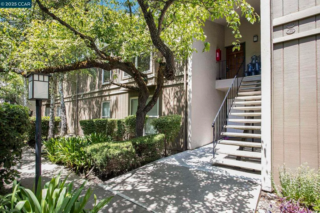 Moraga, California 94556, United States, 3 Bedrooms Bedrooms, ,2 BathroomsBathrooms,Residential,Active,151211