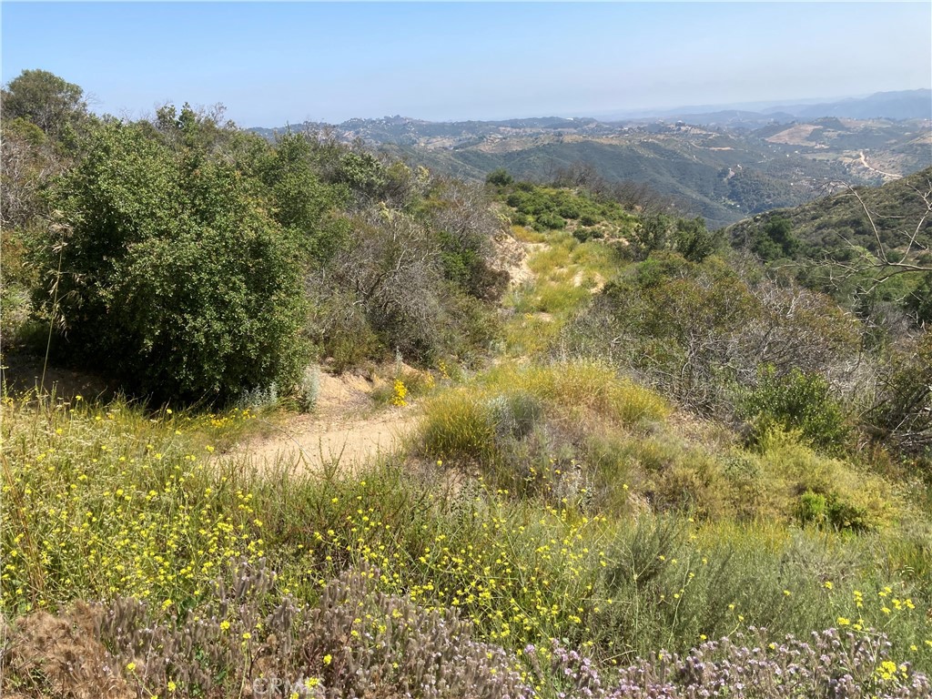 There is an opportunity to own a view parcel in the De Luz area, located at Los Gatos Rd/Crumley Ct (Lot 6) The property has paved road access, water meter, power in easement fronting the property. The topography is moderate to steep with no flat areas, making it one of the more competitively priced properties in the area. Located within Santa Margarita Association, residential 2,500 sf min, zoned A 1-10 (light agriculture). Great opportunity for building custom homes, spec building or investment. Also available are the following nearby lots priced as follows: Lot 2 - $198,500, Lot 3 - $149,000, Lot 5 - $179.500. For maps and more information, contact agent via call or text. Owner may offer financing.