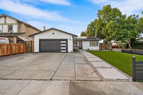 Photo of 55 Palmwell Way, San Jose, CA 95138 (MLS # ML82044394)