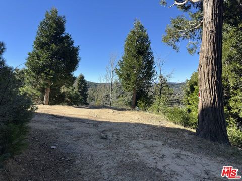 Photo of 101 Mill Pond Road, Lake Arrowhead, CA 92352 (MLS # 25612079)