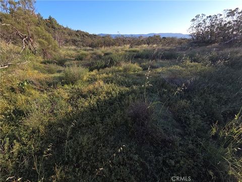 1007 Roan Way Aguanga CA 92536