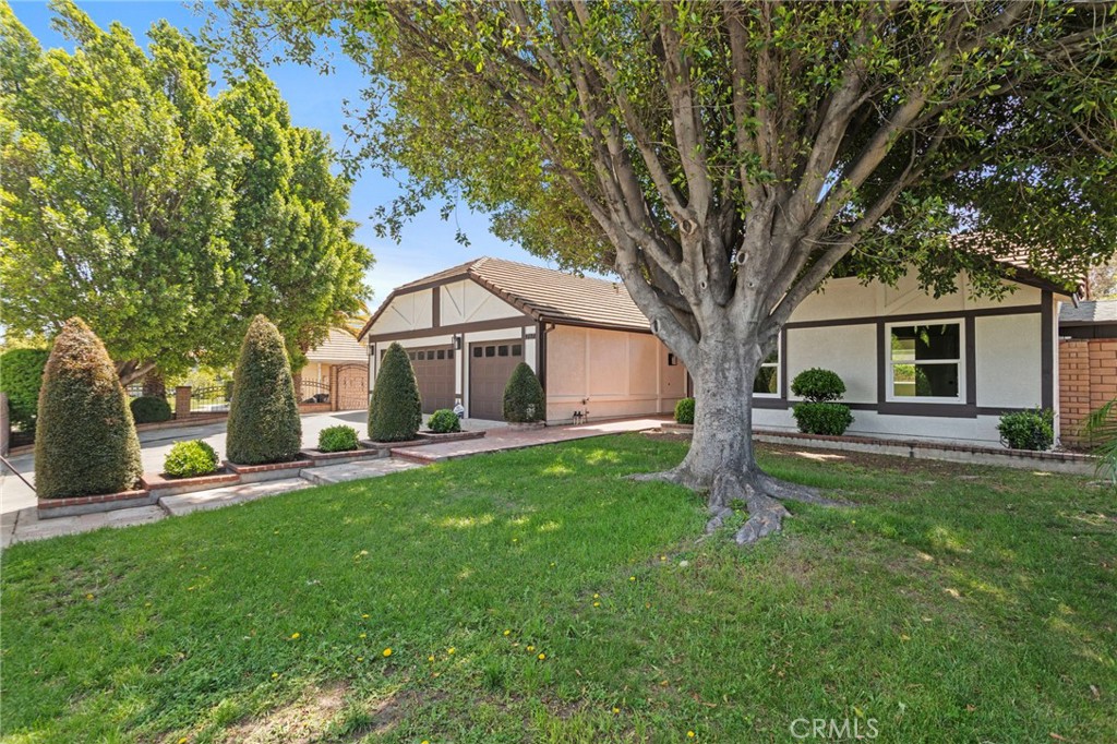 1267 Wildflower Street