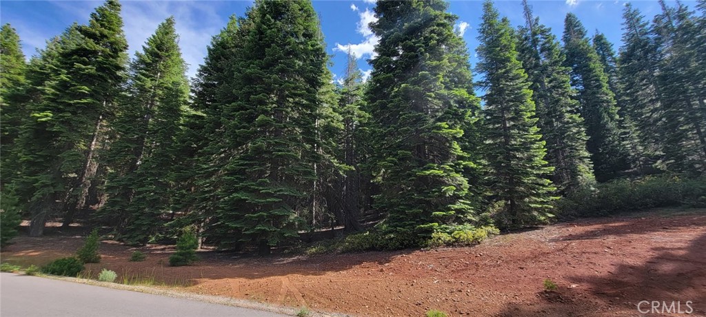 233 Snowy Peak