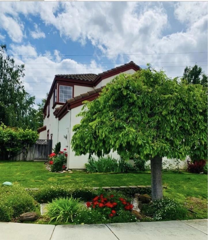 982 White Cloud Drive