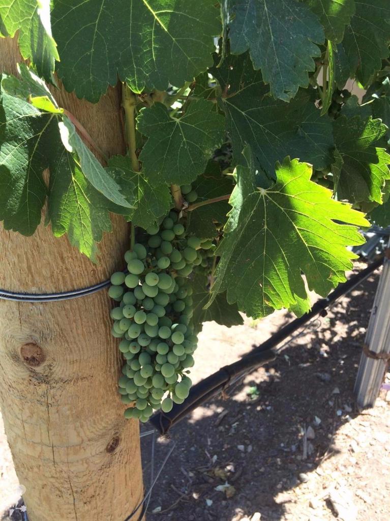 Not Applicable-1 - Residential