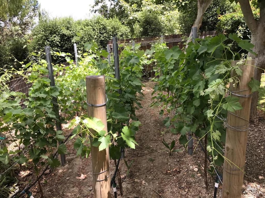 Not Applicable-1 - Residential