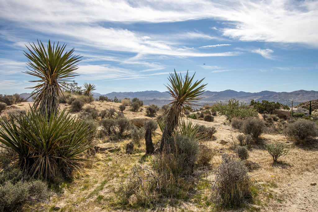 Not Applicable-1 - Residential