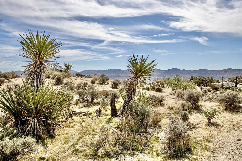 Not Applicable-1 - Residential