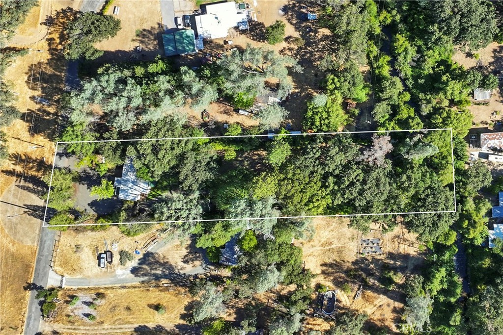 24019 Hilderbrand Drive