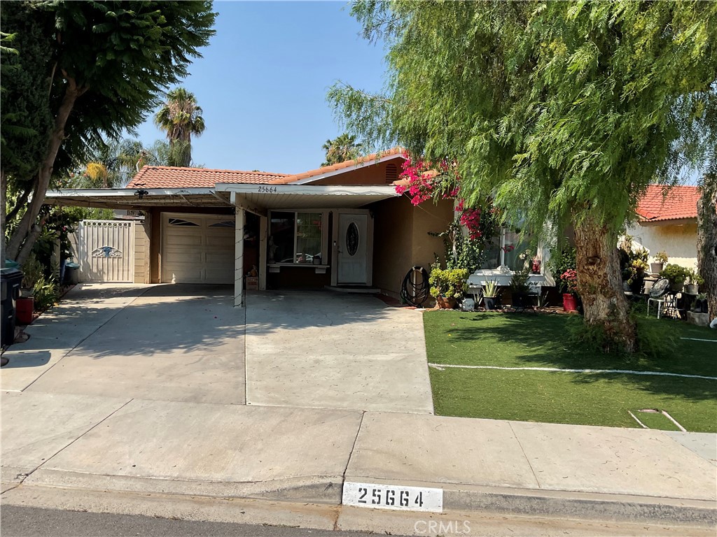 25664 Lola Court