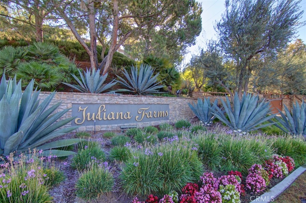 31495 Juliana Farms Road