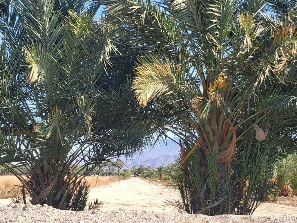 Not Applicable-1 - Land