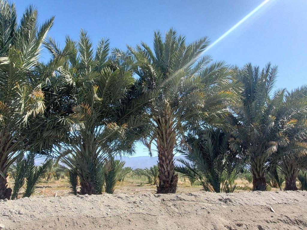 Not Applicable-1 - Land