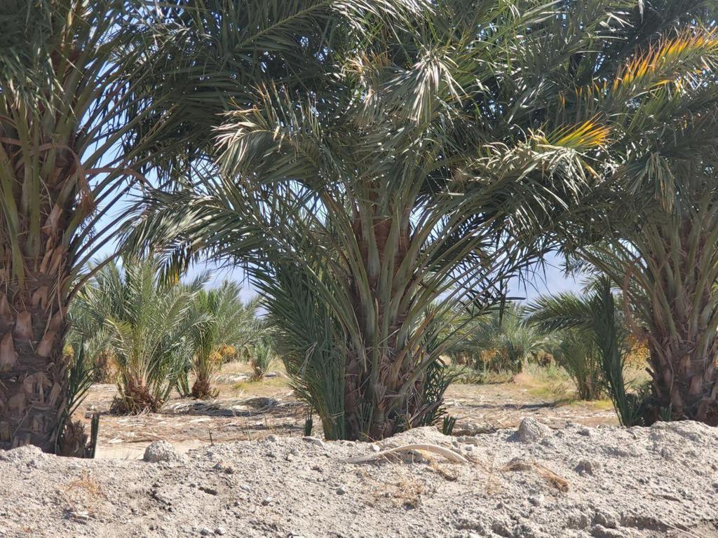 Not Applicable-1 - Land