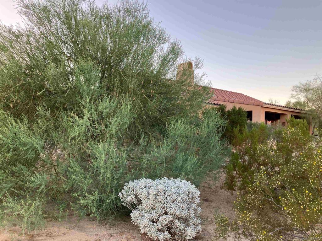 Borrego Springs - Residential