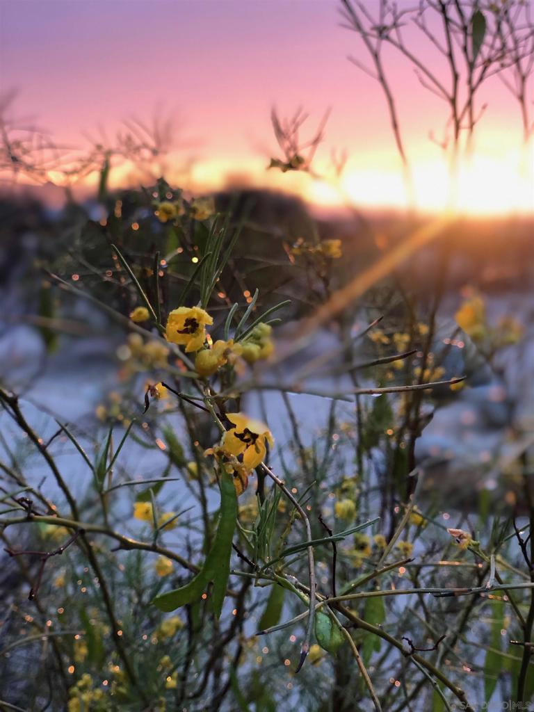 Borrego Springs - Residential
