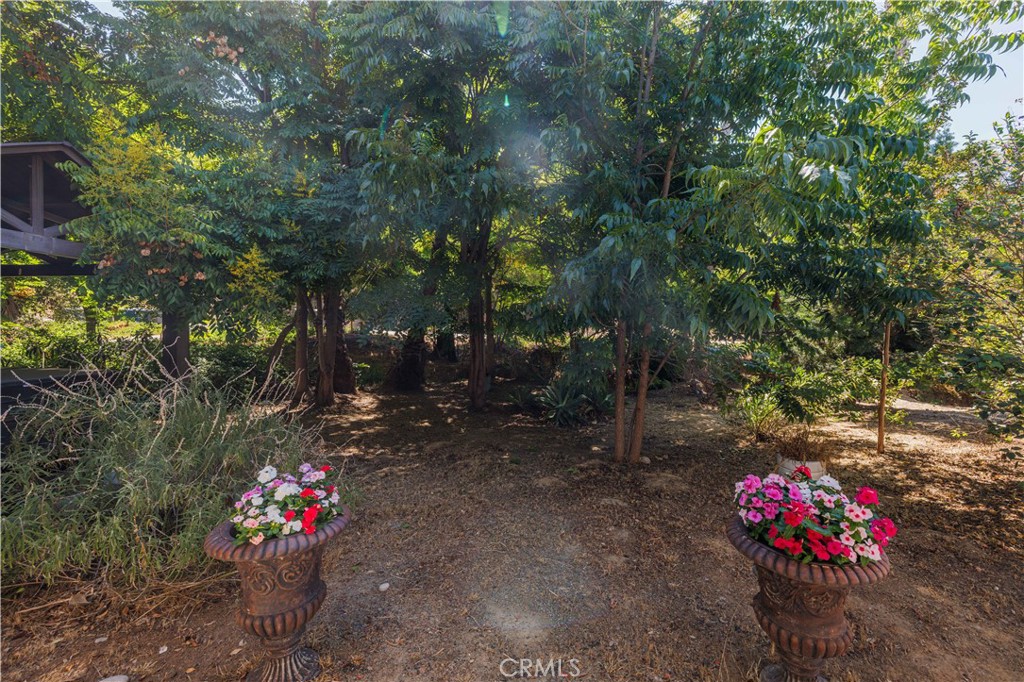 Spring Valley - Residential