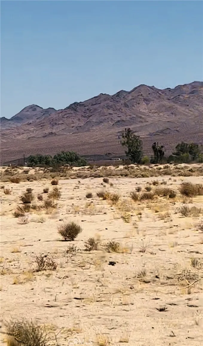 Newberry Springs, California 92365, United States, ,Land,Active,167230