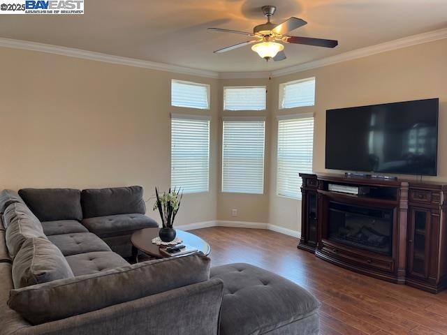 HAYWARD - Manufactured In Park