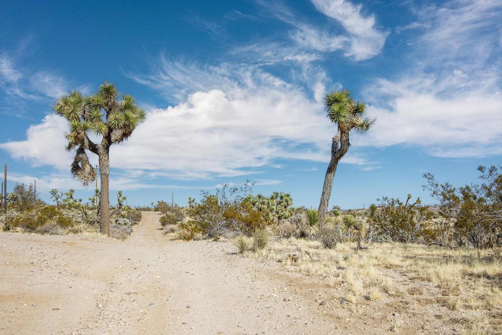 5610 Yucca Mesa Road