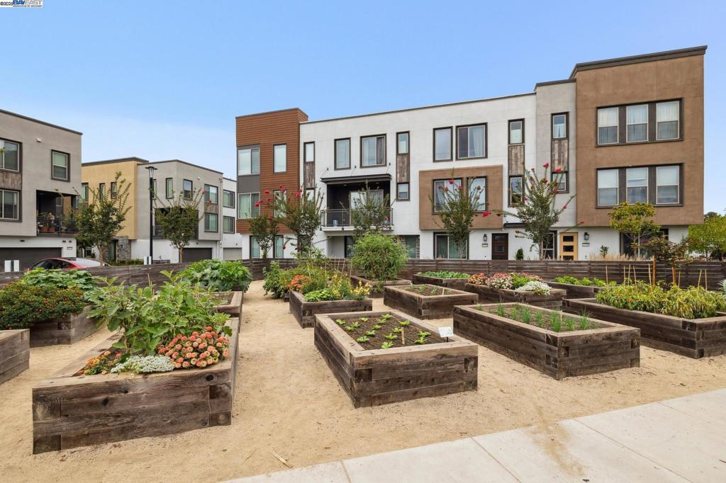 JACKSON TRIANGLE - Residential