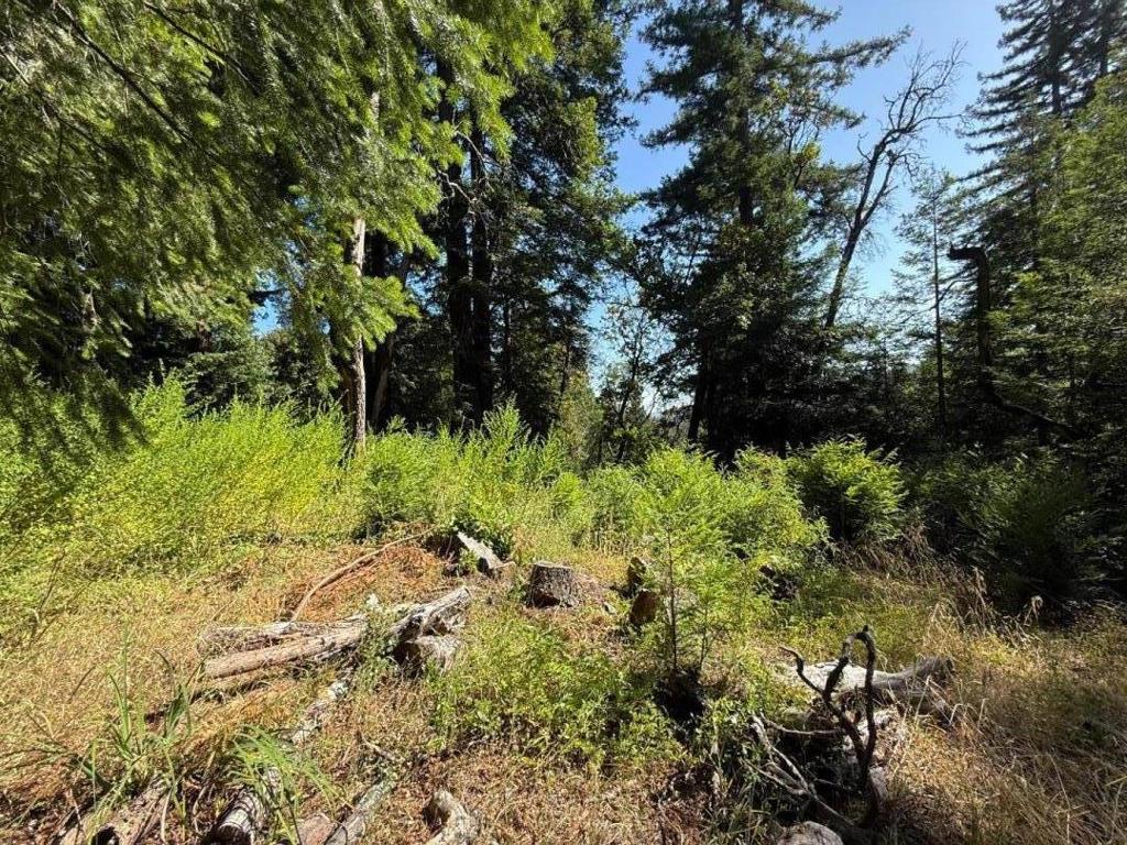 Truly remarkable multi-acre parcel in highly desirable Los Gatos Mountains in an established neighborhood. Won't find a better location or easy development opportunity in a central location just a few minutes to Hwy 17 and top-rated Los Gatos/Loma Prieta schools. Easy access of paved and shared private Debbie Road with ability to connect to mutual water company. Wide range of uses, from agricultural to residential. No site approval - buyer to verify. Power available at street.