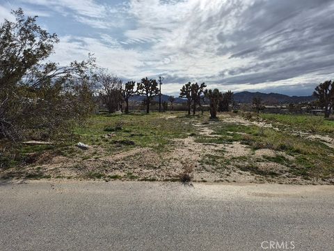 Photo of 0 Cassia Drive, Yucca Valley, CA 92284 (MLS # JT26002081)