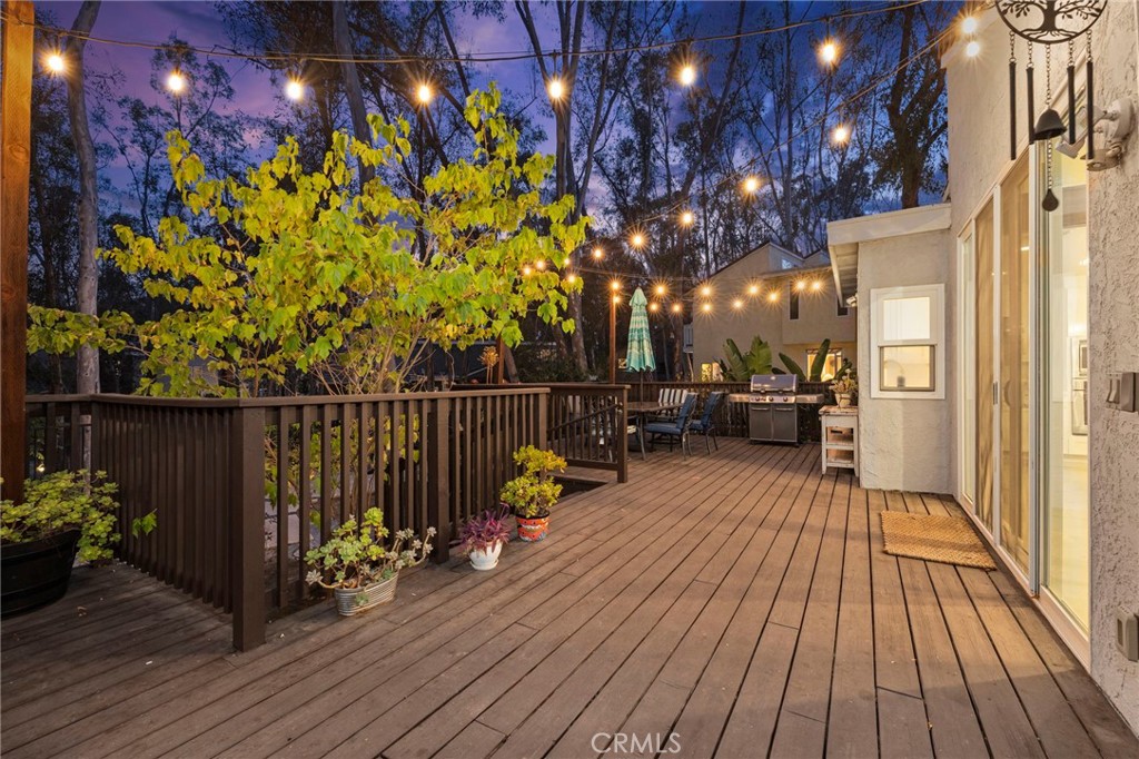 24932 Dove Tree Lane