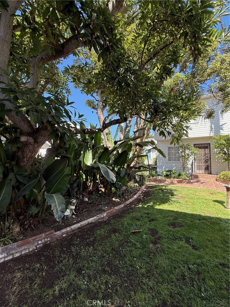 Welcome to this bright & charming 2 bedroom home in the heart of Hermosa Beach! Whether you're heading out for a surf session, a sunset stroll, or a casual coffee run, everything you need is just minutes away. Enjoy the convenience of walking to Trader Joe’s, Starbucks, and a plethora of popular restaurants, bars, and boutique shops, all while coming home to a peaceful retreat with an ocean view!
This unit features access to a spacious open-air courtyard — perfect for relaxing after a long day, hosting friends, or firing up the BBQ on warm SoCal evenings. Experience the best of beachside living with unbeatable walkability and a welcoming community vibe. Don’t miss this opportunity to live the Hermosa Beach lifestyle you've been dreaming of!
Owner pays trash, water, & weekly garden maintenance.