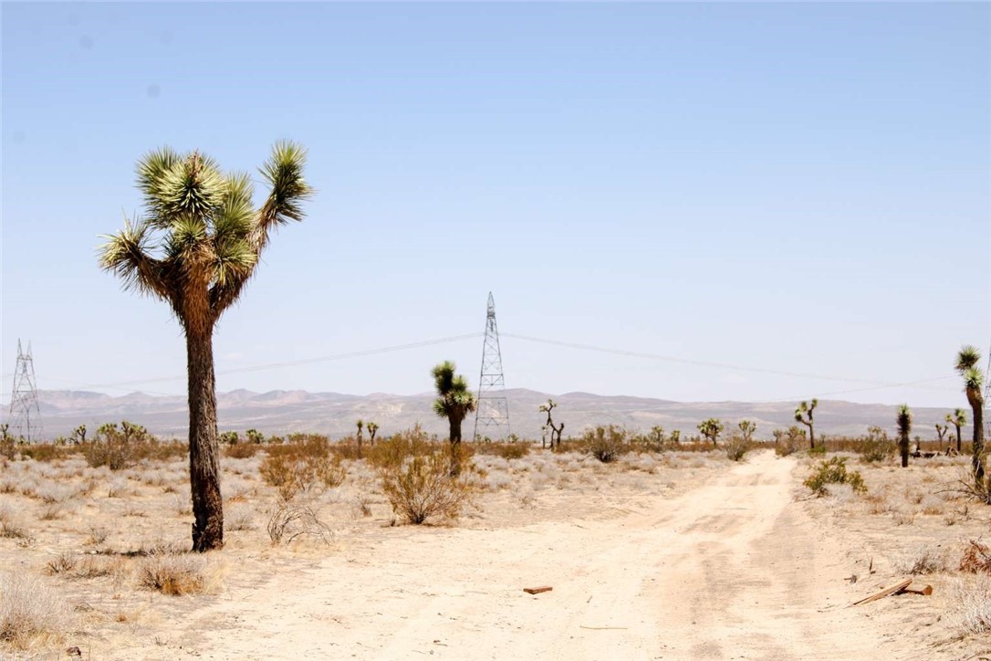 16.37-acre lot in Phelan, CA, zoned PH/RL-5 (Residential). Mobile homes allowed; RV use permitted up to 4 days per 30-day period. No HOA. Ideal for off-grid living—needs septic and well; alternative power recommended. Great location near El Mirage Dry Lake, Wrightwood, and San Bernardino National Forest. Perfect for building, recreation, or investment.