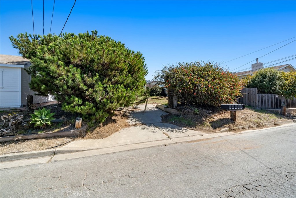 2884 Alder Avenue
