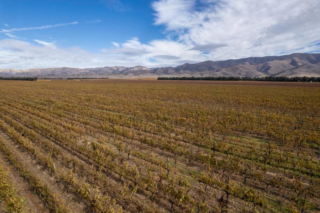 31102 Camphora Gloria Road