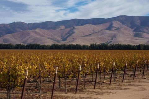 31102 Camphora Gloria Road Soledad CA 93960