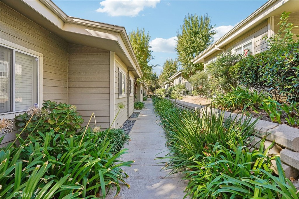 11377 Osborne Place 13