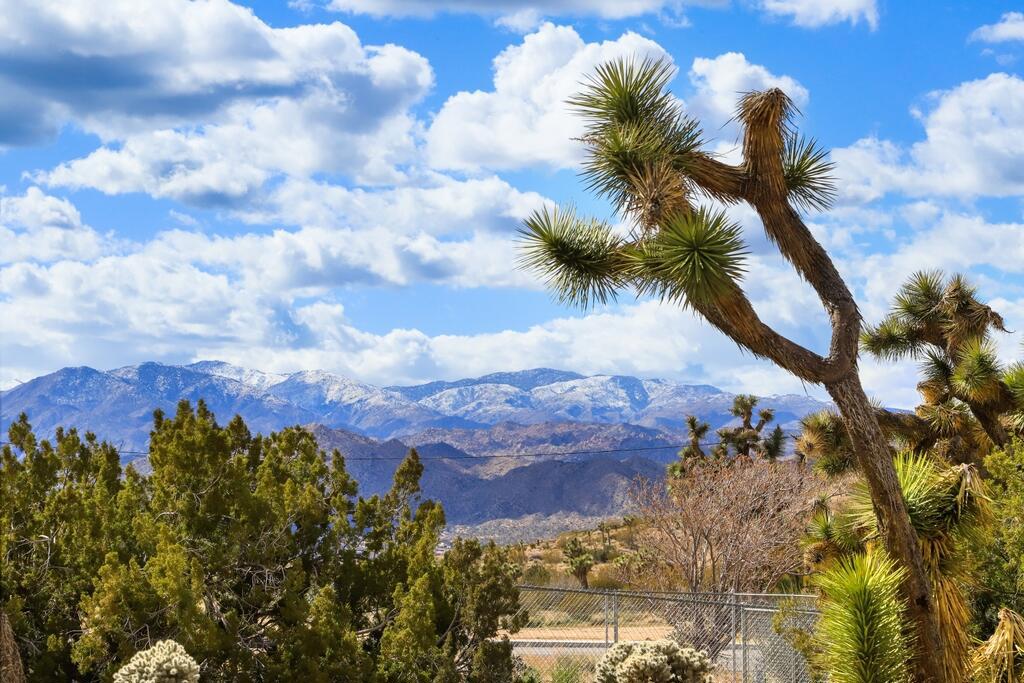 Not Applicable-1 - Residential