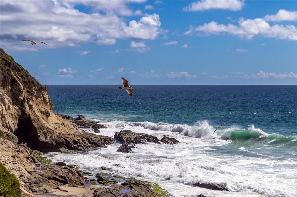 32229 Coast Hwy, Laguna Beach CA 92651 - Photo 9