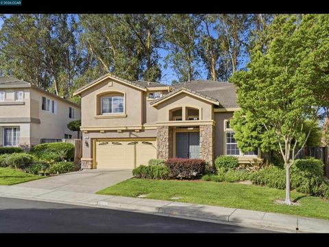 Photo of 835 Meadow View Dr, Richmond, CA 94806 (MLS # 41130467)