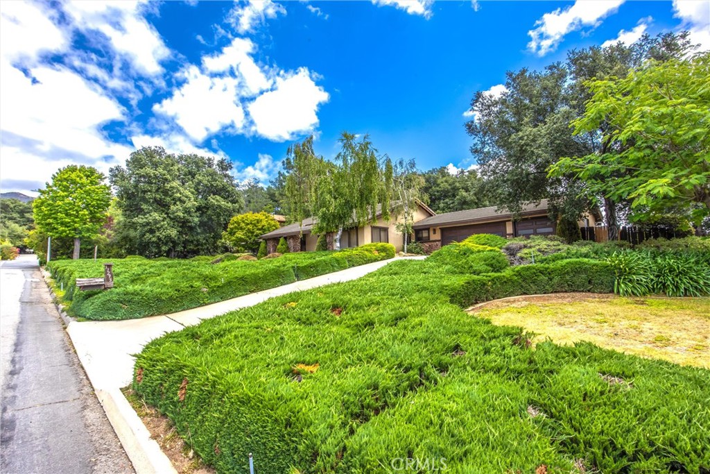 37295 Oak View