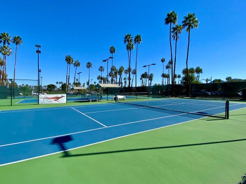 Tiny photo for 201 Camino Arroyo N, Palm Desert, CA 92260 (MLS # 219155054DA)