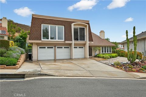 3807 Via Manzana San Clemente CA 92673