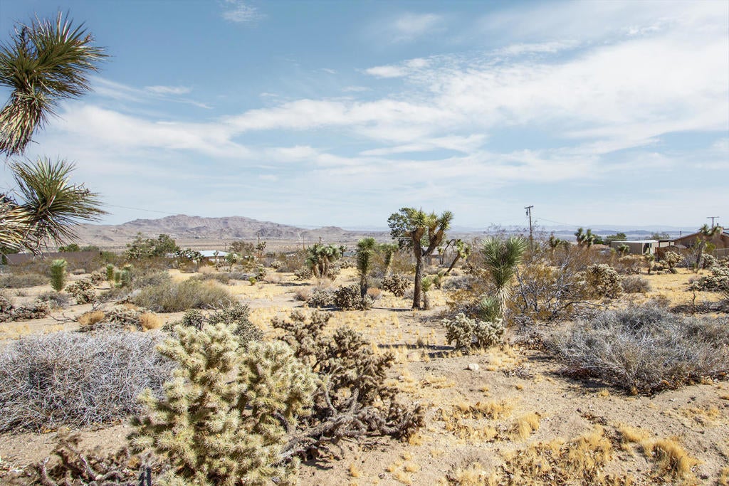 60586 La Mirada Trail