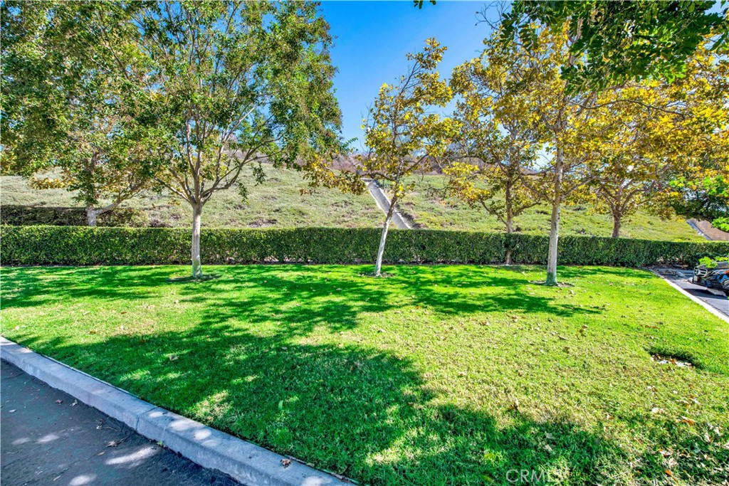 85 Mira Mesa