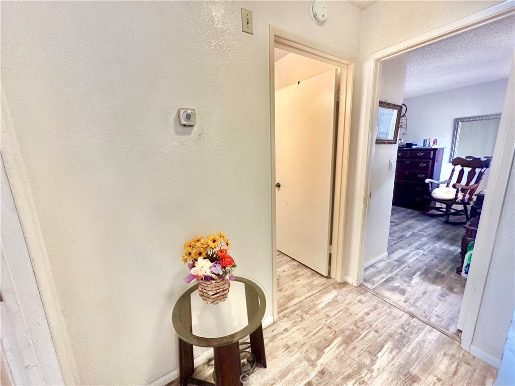 1354 Bushy Tail Trail