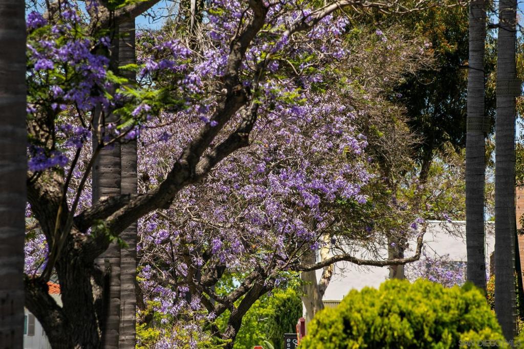 San Diego - Residential